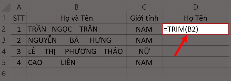 Nhập hàm =TRIM(B2) vào ô bảng tính.