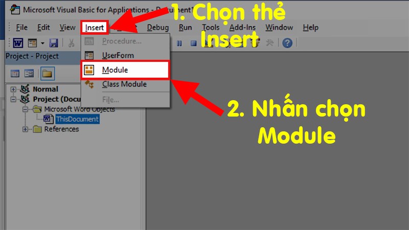 Chọn thẻ Insert > Chọn Module để mở gia diện nhập code VBA