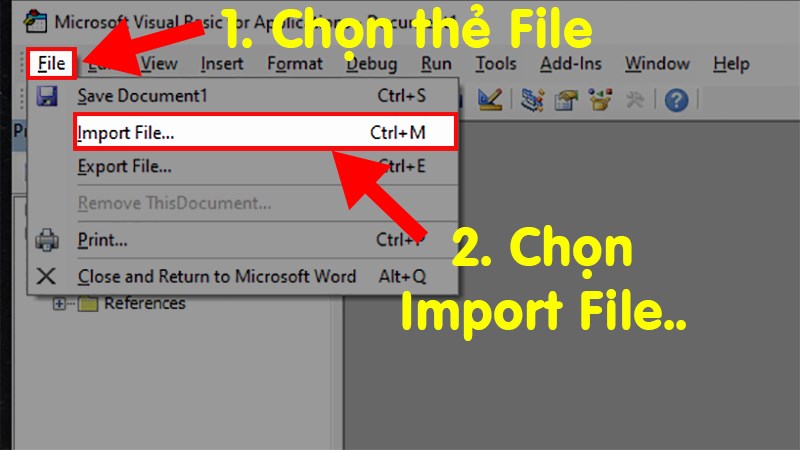 Để sử dụng file này bạn chỉ cần vào lại giao diện Microsoft Visual Basic > Chọn thẻ File > Chọn Import File...