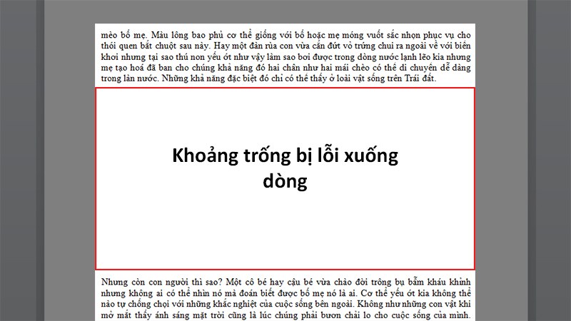 Lỗi xuống dòng tùy tiện trong Word