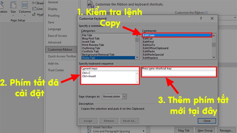 Kiểm tra lệnh EditCopy (Lệnh sao chép)