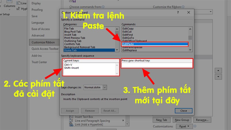 Kiểm tra lệnh EditPaste (Lệnh dán dữ liệu sau khi Copy hoặc Cut)