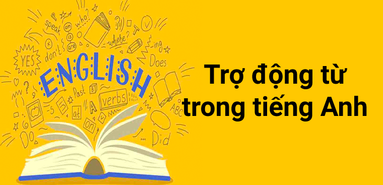 Trợ động từ trong tiếng anh